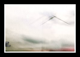 Nowhere - It is not a bird - The blades of a wind turbine always win