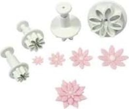 Gänseblümchen/Daisy