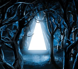 CD «Through Woven Branches»