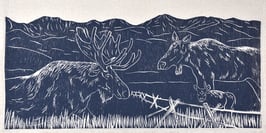 Moose kitchen towel