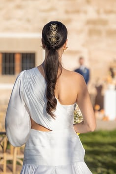 Horquillas Juego de 3 joya Noe