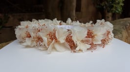 Corona Flores  Laura