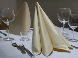 2 Stoffservietten SONITUS, sekt