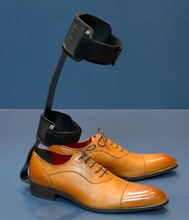 RQプラス　基本セット