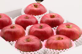 春りんご（サンふじまたはｼﾅﾉｺﾞｰﾙﾄﾞ）