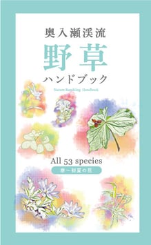 野草ハンドブック （春～初夏）