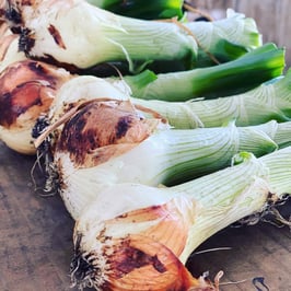 農人たちの新玉ねぎ１kg（5個程度）