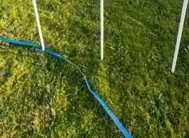 Mieten: 1 Agility Trainings-Slalom S1 / Mietpreis pro Woche