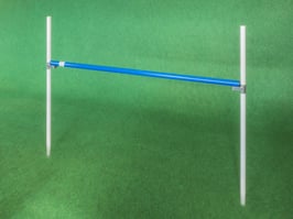 Agility Trainingssprung T1