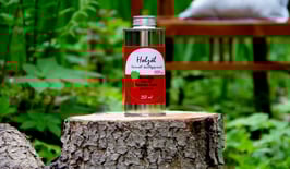 Woodini Holz-Leinlöl 250ml
