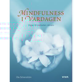 Mindfulness i vardagen: vägar till medveten närvaro av Ola Schenström