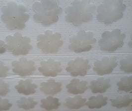 Rosetta singola di colore bianco