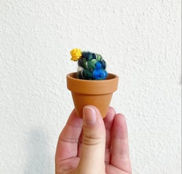 Umgekrempelter Kaktus