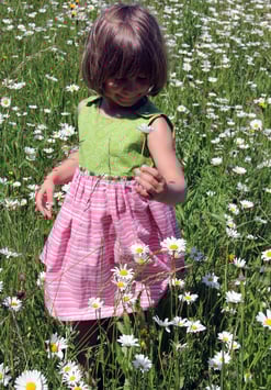 Röckli hellgrün/rosa Apfel