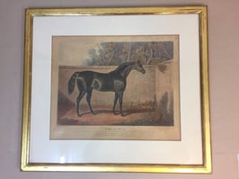 #9 Engraving  EMILIUS