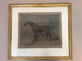 #10 Engraving  GOHANNA