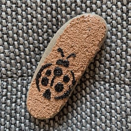 Glücksstein "Marienkäfer"