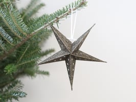 Stern z.hängen Moos Glitzer