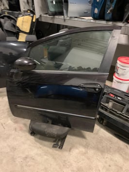 Porta anteriore sx Fiat Punto Evo