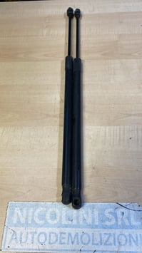 PISTONCINI PORTELLONE FIAT 500 L