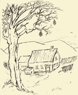 Hildegard Michels: Mir bleiwen hei - »Wir bleiben hier«