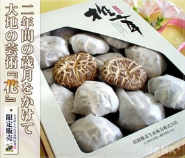 大分産椎茸花どんこ250ｇ