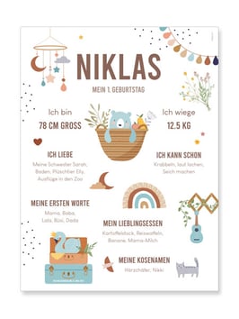 Meilensteinposter Niklas