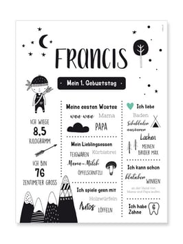 Meilensteinposter Francis