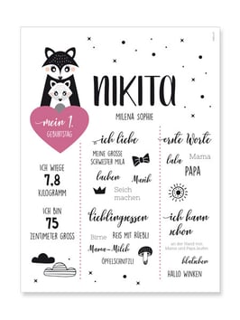 Meilensteinposter Nikita