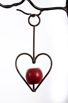 Heart apple/fatball bird feeder in rustic steel