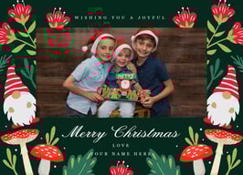 Christmas Card; Gnomes