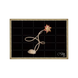 ラベル版画™5241「セロフラワー オリジナル.15」