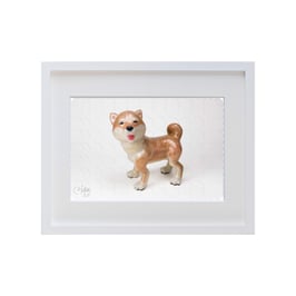 ラベル版画™209「柴犬」