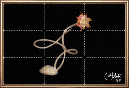 商品名ラベル版画™1885「セロフラワー オリジナル.15」