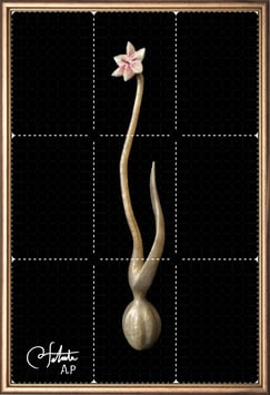 商品名ラベル版画™1885「セロフラワー オリジナル.4」