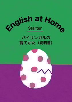 【３０日間全額返金保証付き】【送料無料】English at Home