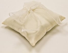 Coussin Alliance Petit Modèle