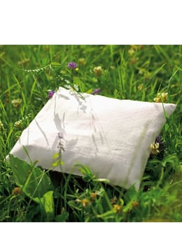 Posch Hildegard Betonika Schlafkissen