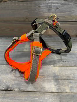 GESCHIRR *EASY TRICOLOR * CAMOU/NEO O mit Gurt SAHARA & OLIV