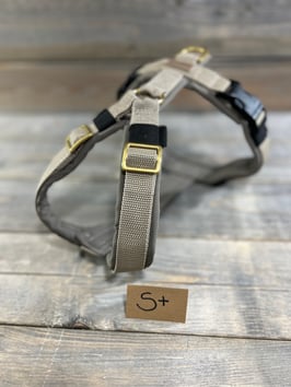 ELBBUDEN´s ELBgeschirr easy : SOFTSHELL BEIGE mit GURTband SAHARA   in GR S+