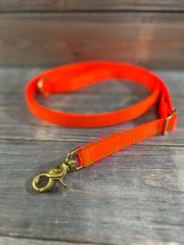 ELBBUDEN´s ELBleash Gurt in NEO ORANGE  LG ca 1,20-2m