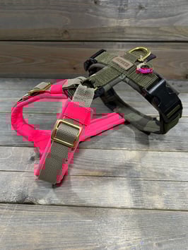 GESCHIRR *EASY TRICOLOR * CAMOU/NEO PINK  Gurt: SAHARA/ OLIV