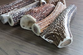 北海道　エゾ鹿　鹿角　犬のおもちゃ（長さ：約10～17cm　小～中型犬向き）