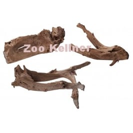 Mangrove Naturholzwurzel 35-55 cm