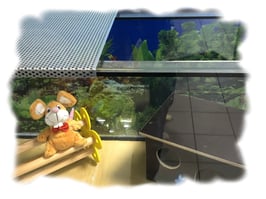 Abdeckgitter für Nagarien und Terrarien