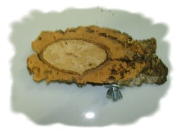 Korkscheiben Sitzbrett "Mittel" für Vögel 15-22 cm