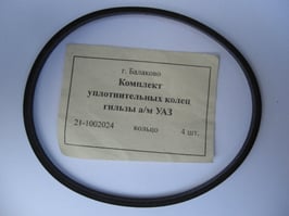 Dichtungsring der Zylinderlaufbuchse