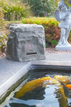 FOOD ROCK - Futterautomat