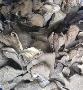 Dried Maitake Mushrooms