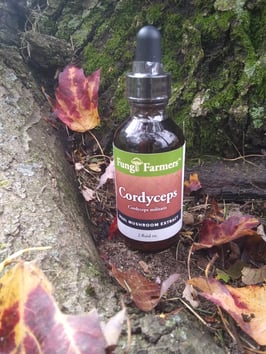 Cordyceps Mushroom Tincture